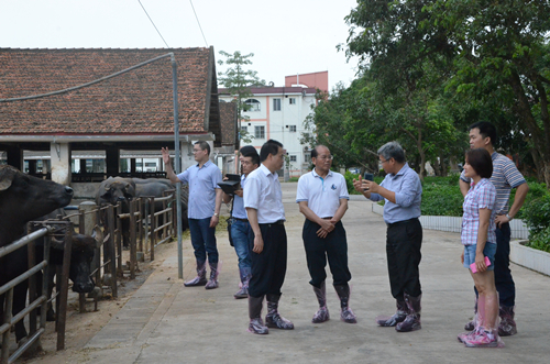 3、代表团参观我所水牛种畜场_副本.jpg